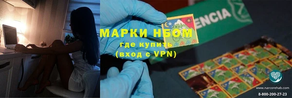 шишки Богородицк