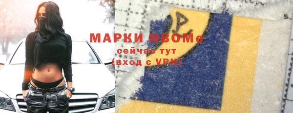 шишки Богородицк